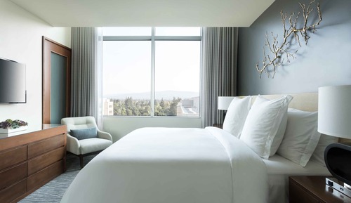 Executive Suite (Deluxe)