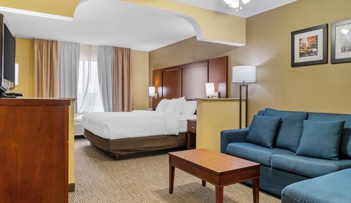 Deluxe Suite, 1 King Bed, Non Smoking