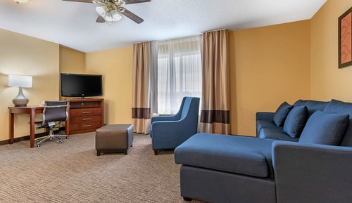 Suite, 1 King Bed with Sofa bed, Non Smoking, Kitchenette