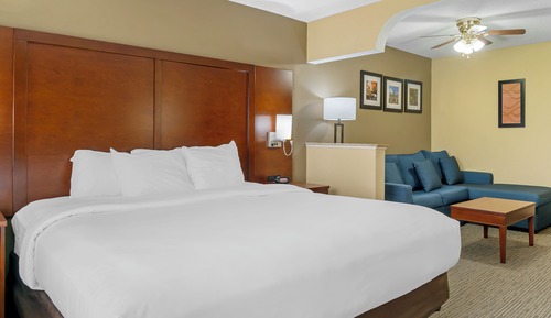 Deluxe Suite, 1 King Bed, Non Smoking