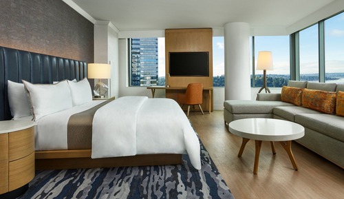 Studio Suite, 1 King Bed with Sofa bed, Corner (Mobility Accessible, Roll-in Shower)