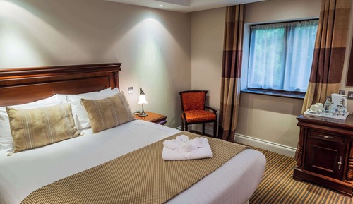 Executive Room, 1 King Bed, Non Smoking