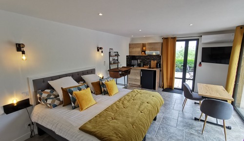 Deluxe Studio (Appartement Annexe)