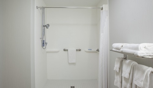 Standard Room, 1 Queen Bed, Mobility Accessible (Mobility, Roll In Shower)