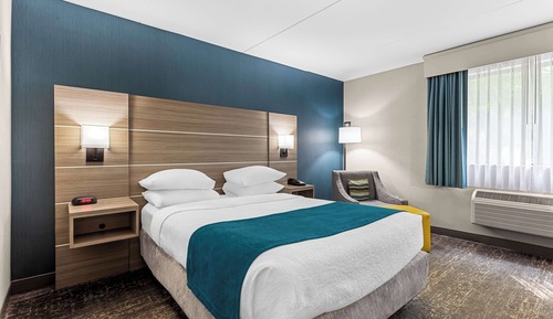 Standard Room, 1 Queen Bed, Accessible, Non Smoking