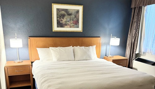 Superior Room, 1 King Bed, Non Smoking