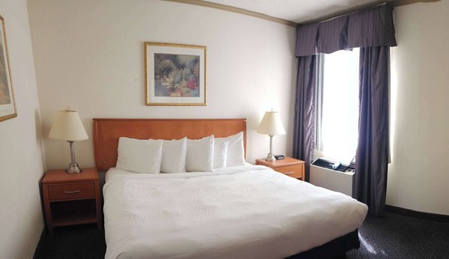 Room, 1 Queen Bed, Accessible, Non Smoking (Bathtub w/ Grab Bars)