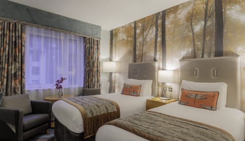 Standard Room, 2 Twin Beds