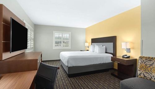 Suite, 1 King Bed