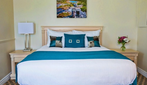 Room, 1 Queen Bed