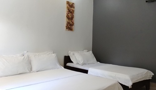 Double or Twin Room