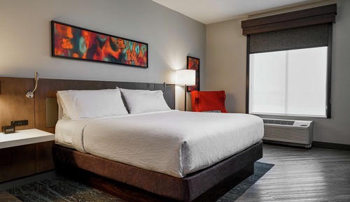 Room, 1 King Bed