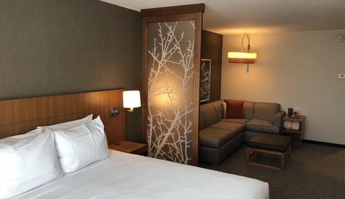 Room, 1 King Bed with Sofa bed, Accessible (Shower)