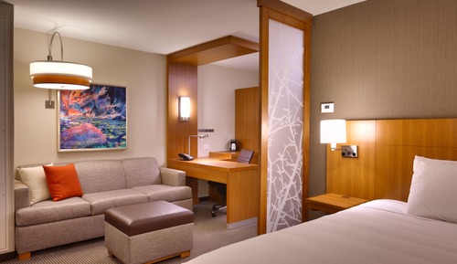 Room, 1 King Bed with Sofa bed