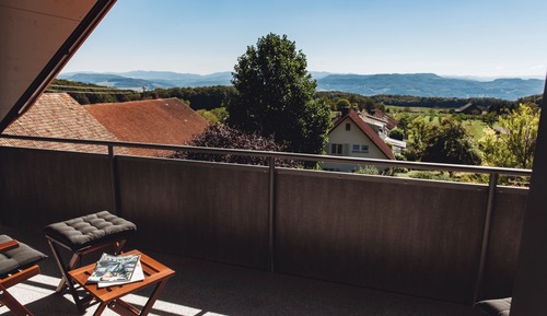 Superior Double Room (mit Alpenblick)