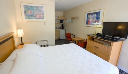 Standard Single Room, 1 Queen Bed, Non Smoking, Mountain View