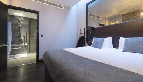 Superior Double or Twin Room, 1 Bedroom, Accessible