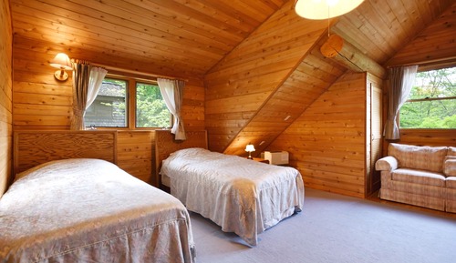Deluxe Log house