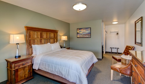Standard Single Room, 1 King Bed - No Pets