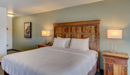 Standard Single Room, 1 King Bed, Accessible - No Pets
