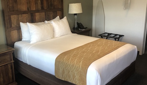 Standard Room, 1 Queen Bed, Accessible - No Pets