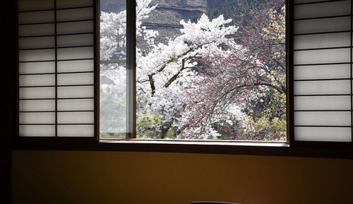 Japanese Style Room - 10 Tatami-mats, Shared Bathroom, Private Toilet