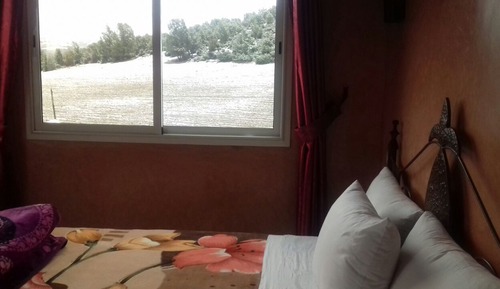 Basic Double Room