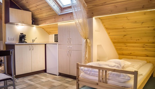 Economy Loft, 1 Bedroom