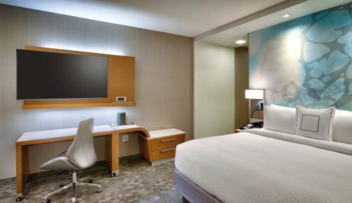 Room, 1 King Bed with Sofa bed, Non Smoking (Accessible Shower/Tub Combination)