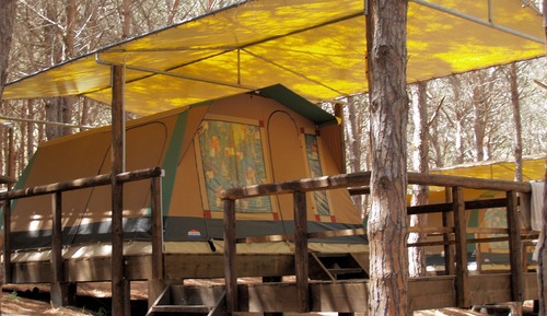Comfort Tent