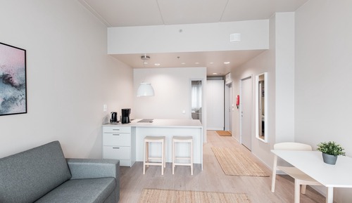 Business Apartment, 1 Bedroom