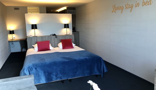 Comfort Double or Twin Room