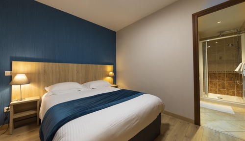 Basic Double Room