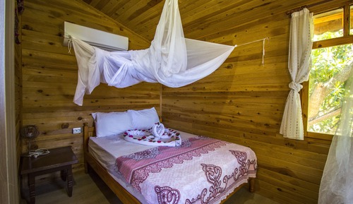 Standard Twin Room, 1 Bedroom