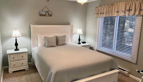 Standard Suite, 1 Queen Bed with Sofa bed
