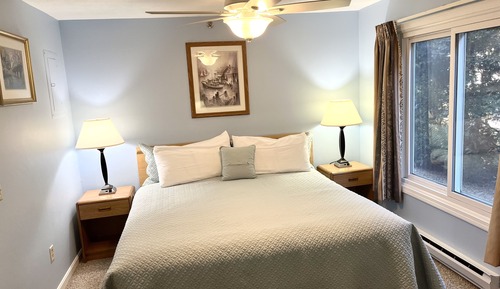 Standard Suite, 1 King Bed with Sofa bed