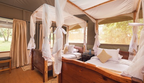 Family Tent