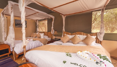 Standard Tent, 2 Queen Beds (Triple)