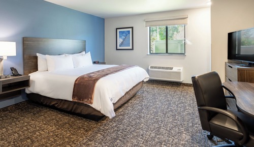 Room, 1 Queen Bed, Accessible (Hearing Impaired, Roll In Shower)