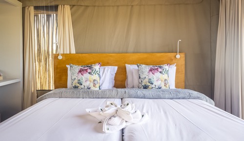 Family Tent