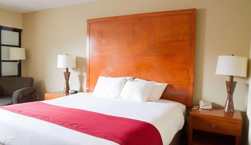 Room, 1 Queen Bed, Non Smoking