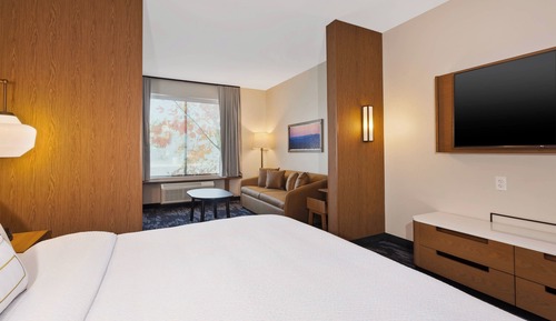 Suite, 1 King Bed with Sofa bed
