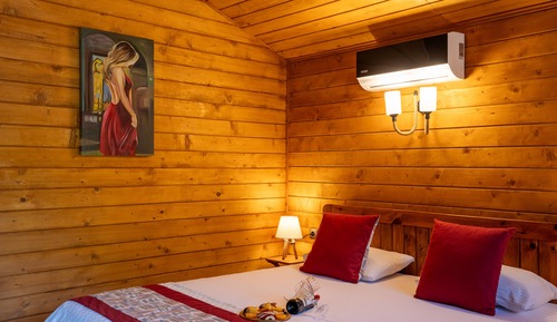 Standard Double Room, 1 King Bed