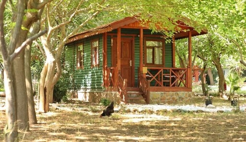 Deluxe Bungalow