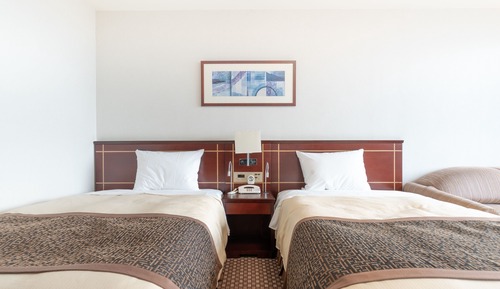 [Non-Smoking] Western Style Deluxe Twin Room (Mt. Fuji View)