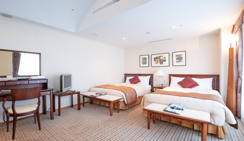 [Non-Smoking] Western Style Luxury Twin Room