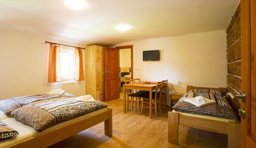 Basic Double or Twin Room (+ Extra bed)