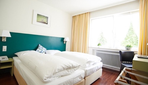Standard Double Room, 1 King Bed