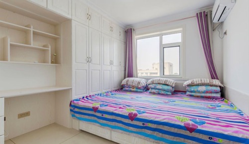 Design Suite