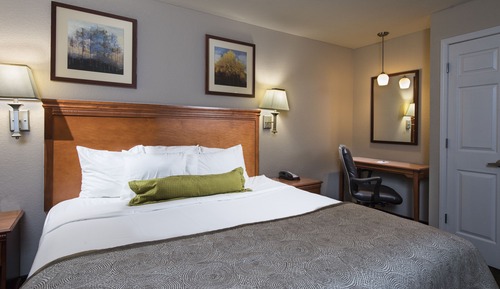 Suite, 1 Bedroom